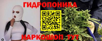 бошки Абакан