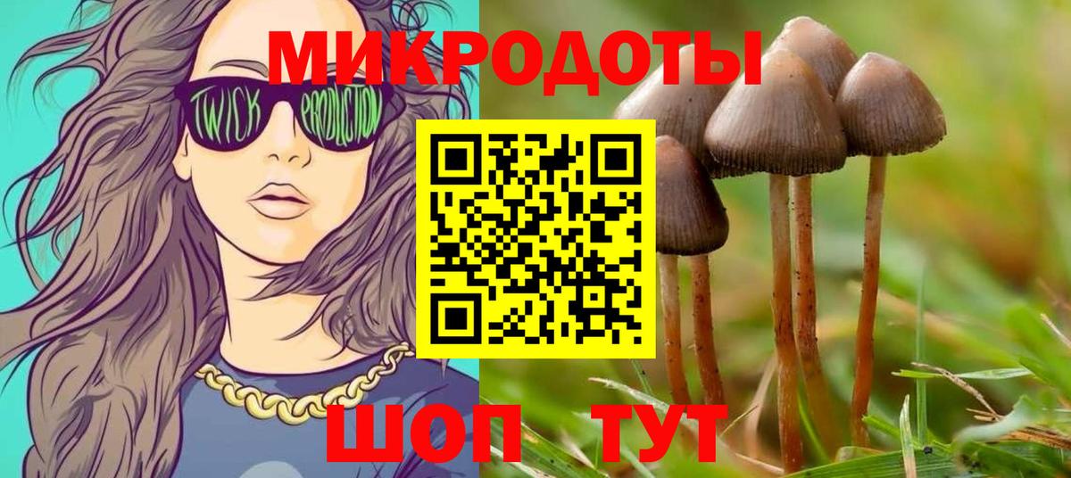 Алатырь  Псилоцибиновые грибы Psilocybine cubensis  сколько стоит  Псилоцибиновые грибы MAGIC MUSHROOMS  Вход с VPN 